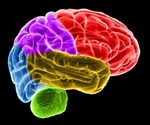 Measuring tumor force offers new clues for brain cancer treatment