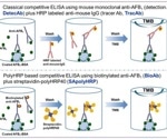 Cost-effective streptavidin for biomolecule capture
