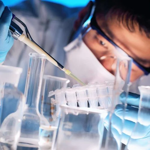 In vitro kidney disease modeling service