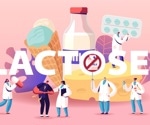 What is lactase persistence, and how did it evolve?