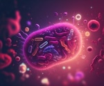 How soy and gut microbes alter cancer treatment results